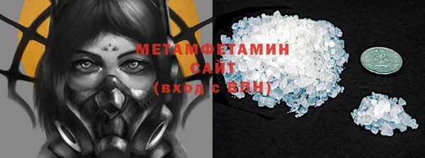 сатива Новокубанск