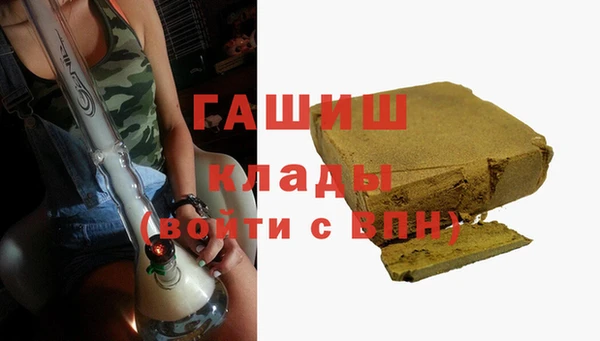 сатива Новокубанск