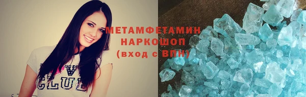 сатива Новокубанск