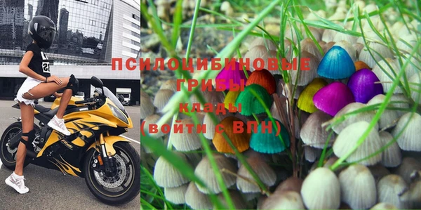 мдма Новодвинск