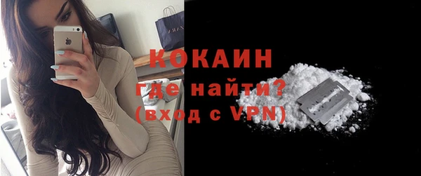 сатива Новокубанск