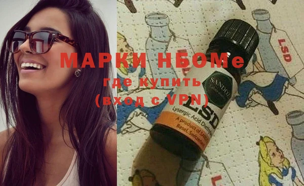 сатива Новокубанск