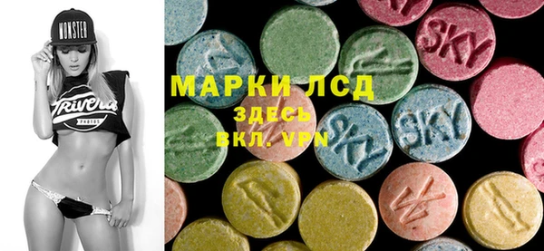 ALPHA PVP Новозыбков