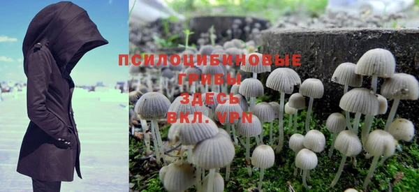 ALPHA PVP Новозыбков