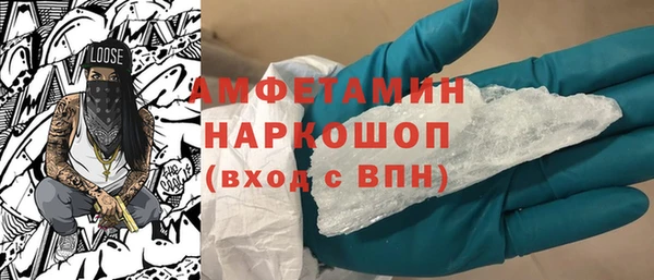 сатива Новокубанск