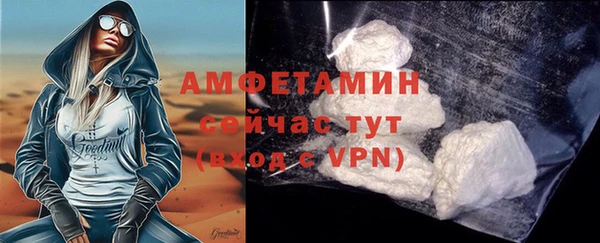 сатива Новокубанск