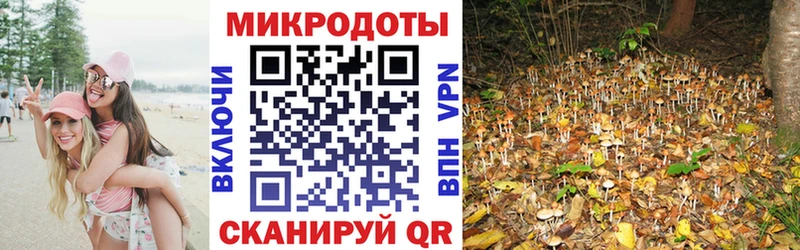 Галлюциногенные грибы мухоморы  Энгельс 